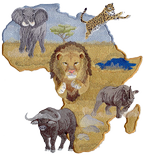 Africa Big Five Spot Africa Big Five all in Tanzania